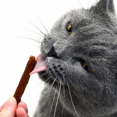 Delicious 3-ingredient Cat Treat Recipes