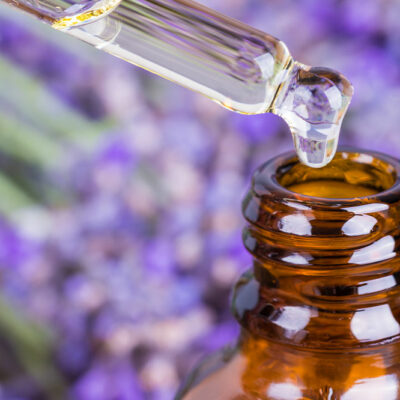 Top 4 Essential Oil Treatments for Ticks and Fleas