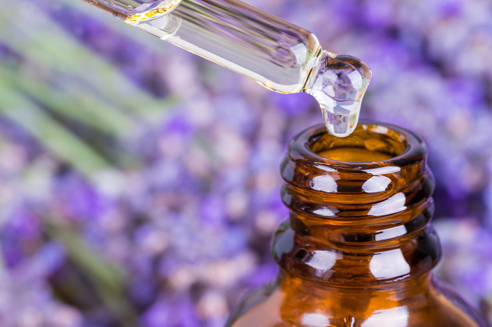 Top 4 Essential Oil Treatments for Ticks and Fleas